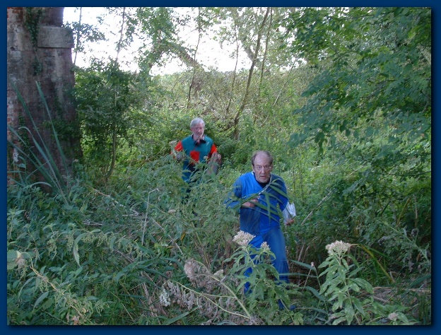 600x449 pixels (188K)